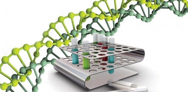 Sztuczne chromosomy pomagają radzić sobie z chorobami dziedzicznymi