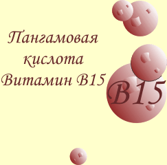 Ogólne informacje na temat witaminy B15