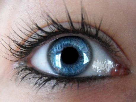 Naukowcy odkryli, od czego zależy ostry wzrok