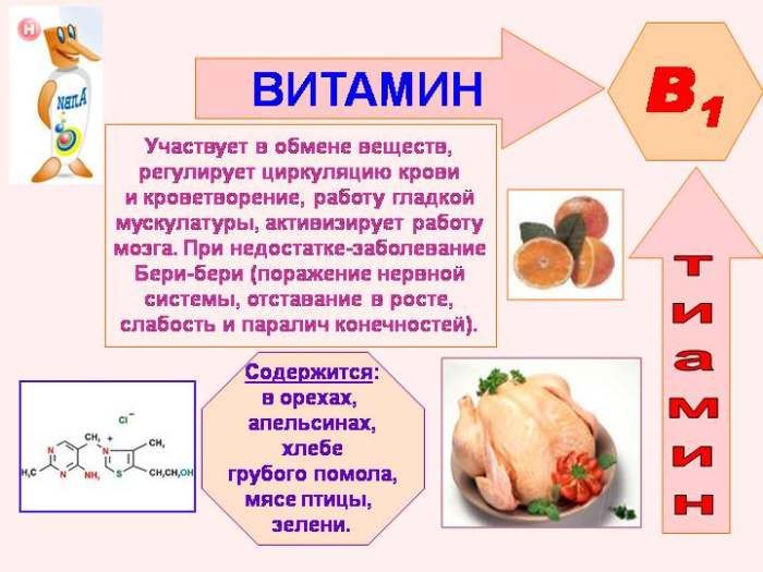 Właściwości witaminy B1
