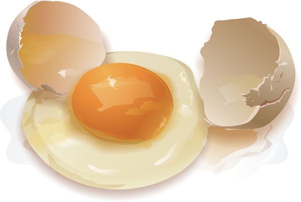 działanie diety jajecznej